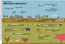 Abb. 1: 12 kurze Lektionen über Fleisch und die Welt. © Fleischatlas 2018 von BUND, Heinrich-Böll-Stiftung, Le Monde Diplomatique