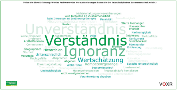 Dr. Simone Brandstädter fragte die Probleme und Herausforderungen in der interdisziplinären Zusammenarbeit bei den TeilnehmerInnen ab.