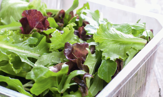 Salat in Plastikpackung. © fiore26/iStock/Getty Images Plus