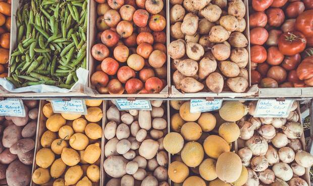 Die März-Ausgabe ist vollgepackt mit Themen zu Obst und Gemüse. (Photo by Lukas Budimaier on Unsplash)